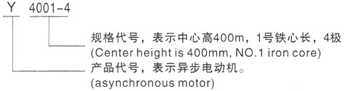 西安泰富西玛Y系列(H355-1000)高压YJTG-315L2-8A/110KW三相异步电机型号说明