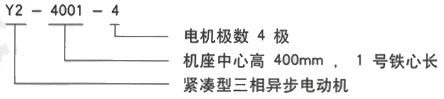 YR系列(H355-1000)高压YJTG-315L2-8A/110KW三相异步电机西安西玛电机型号说明